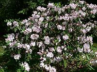 2011-05-19_09-20-41_0182