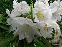 19-06-2006_09-04-10_67