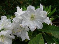 19-06-2006_09-04-17_69