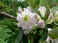 19-06-2006_09-04-32_73