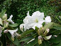 19-06-2006_09-04-36_74