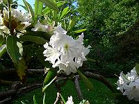 23-06-2006_08-51-17_25