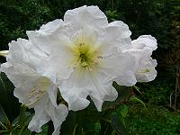 28-06-2006_12-52-28_77