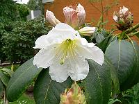 28-06-2006_12-52-31_78