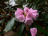 2011-04-04_08-35-51_0037