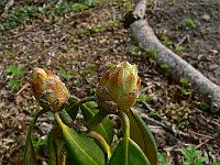 2009-04-29_08-45-18_0239