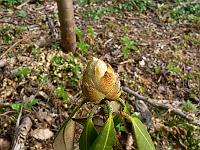 2009-04-29_08-45-39_0246