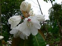 2009-05-05_08-53-48_0011