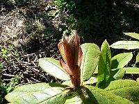 06-06-2006_09-36-57_70