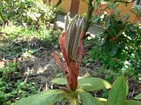 08-06-2006_12-37-09_11