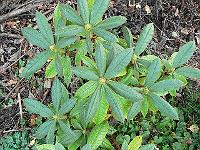 20-09-2006_18-21-46_01