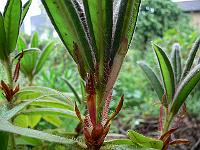 26-06-2006_10-28-53_62