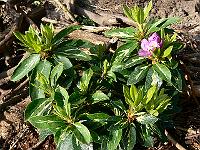 2008-05-29_07-12-06_0125