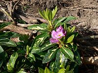 2008-05-29_07-12-06_0127