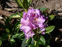 2008-06-01_07-45-39_0014