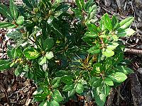 2008-09-25_08-07-26_0095