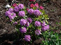 2011-06-02_08-24-11_0121