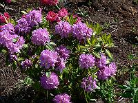 2011-06-02_08-24-26_0124