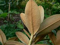 10-07-2007_20-03-13_106