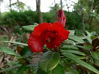 2008-09-20_09-26-48_0081