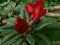 2008-09-20_09-27-37_0085