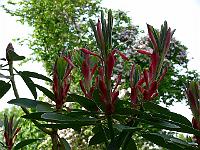 07-06-2006_18-01-45_51