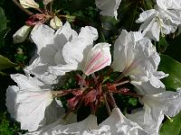 09-06-2007_09-53-21_138
