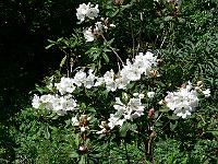 09-06-2007_10-52-32_160