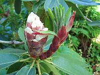 10-06-05kodak_168