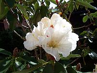 11-06-05kodak_021