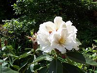 11-06-05kodak_120
