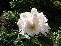 11-06-05kodak_122
