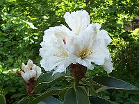 11-06-05kodak_169