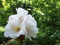 11-06-05kodak_172