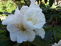 11-06-05kodak_175