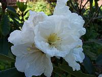 11-06-05kodak_176