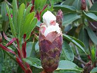 12-06-05kodak_180