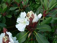 13-06-2006_20-50-54_60