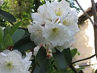 17-06-0canon_009