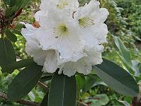 17-06-0canon_013