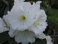 17-06-0canon_052