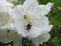 17-06-0kodak_058