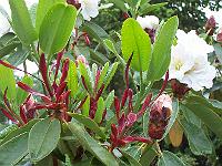17-06-0kodak_062