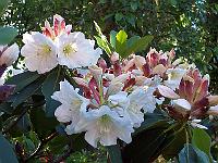 18-06-05kodak_094