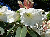 18-06-05kodak_323