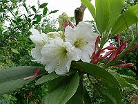 19-06-2006_09-04-56_79
