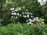 2009-06-08_08-31-16_0001
