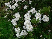 2009-06-08_08-33-08_0025