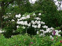 2009-06-11_09-05-40_0037