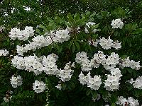 2009-06-11_09-06-28_0049